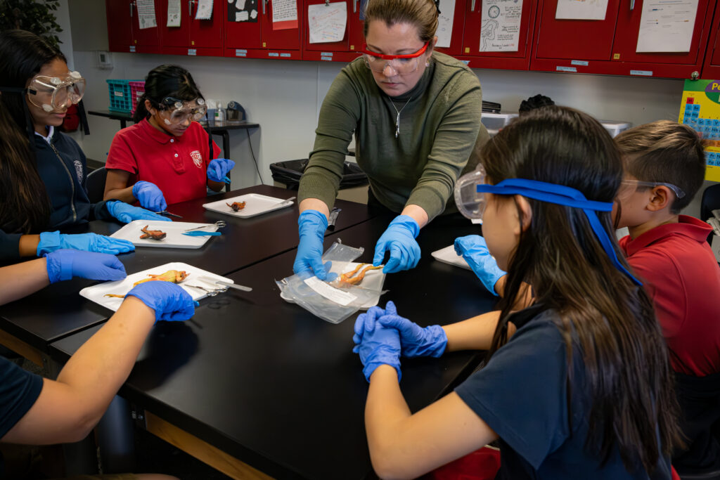 Students working together on hands-on STEM activities such as robotics, coding, and engineering challenges in a classroom setting.