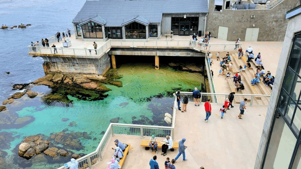 Campbell Christian Schools students observing marine life and interactive exhibits at the Monterey Bay Aquarium.